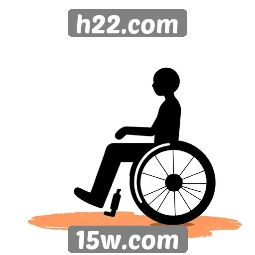 Acessibilidade no h22.com e sua importância